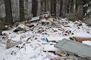 Увидел – сообщи