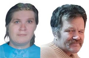 Где же вы, где …