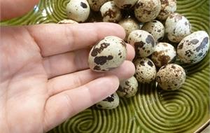 Расставание с бизнесом