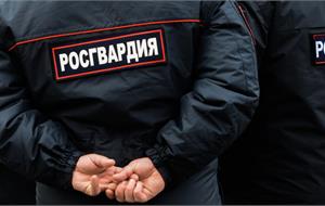 Покровительство и помощь?