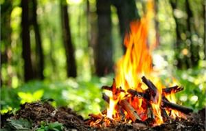 «Чистый лес – территория без огня»