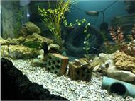 IMG_20190407_161206