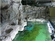 IMG_20190407_153252