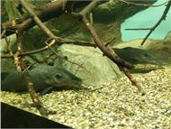IMG_20190407_153430