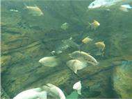 IMG_20190407_153332