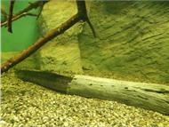 IMG_20190407_153509