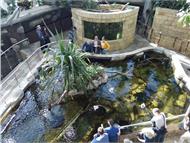 IMG_20190407_153857