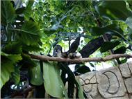 IMG_20190407_155230
