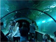 IMG_20190407_160126