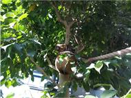 IMG_20190407_155630