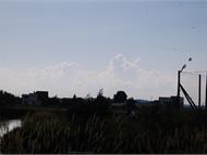 DSC_0043