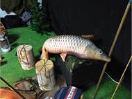 IMG_20190518_182425