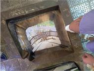 IMG_20190518_182942